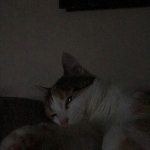 Meet your Posher, Sacha